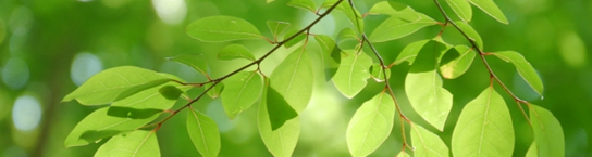 職員の取り組み