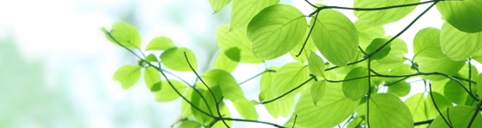 各部門のご紹介